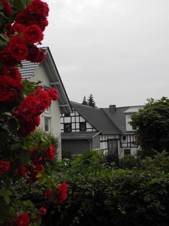 Apartament Wilkenhof Willingen  Zewnętrze zdjęcie