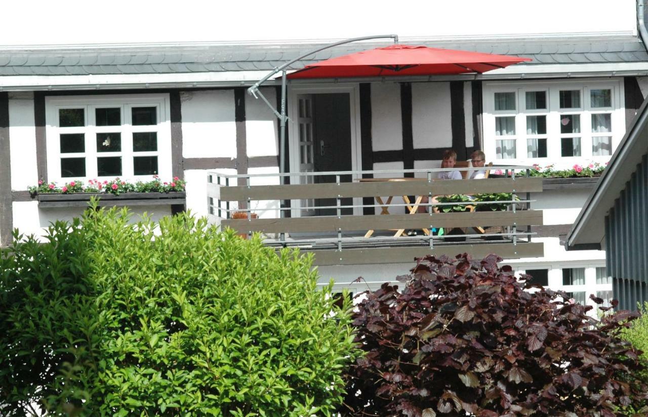 Apartament Wilkenhof Willingen  Zewnętrze zdjęcie